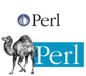 11 logo